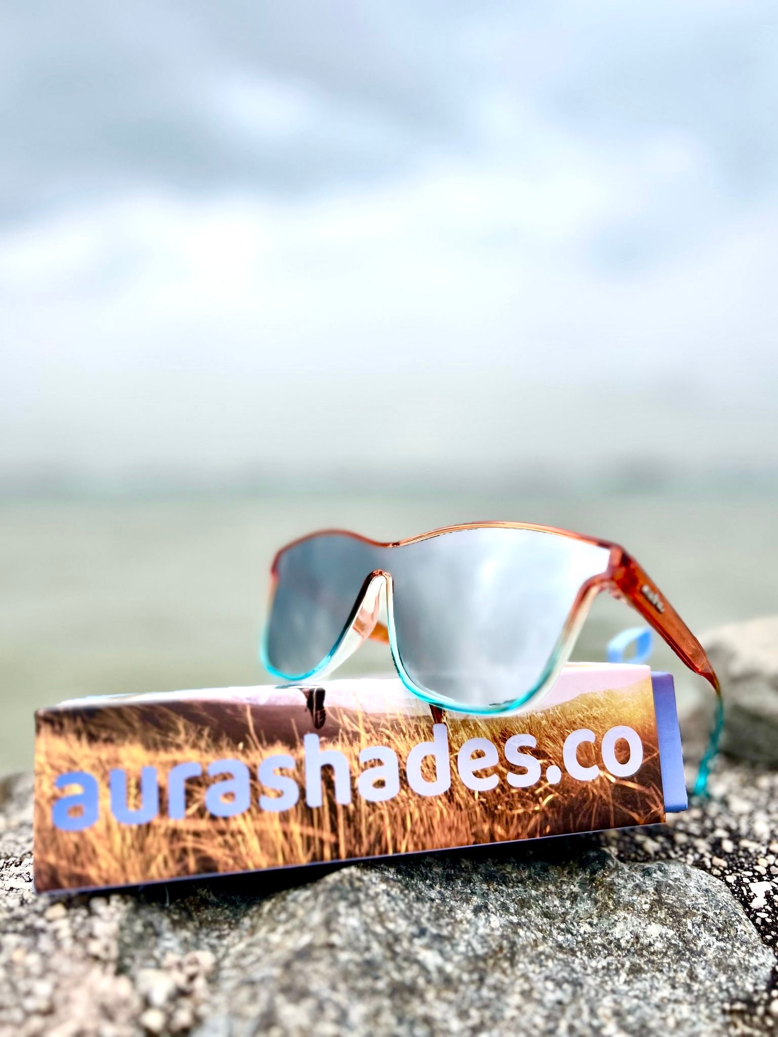 DISCO PIGEON TAKES FLIGHT