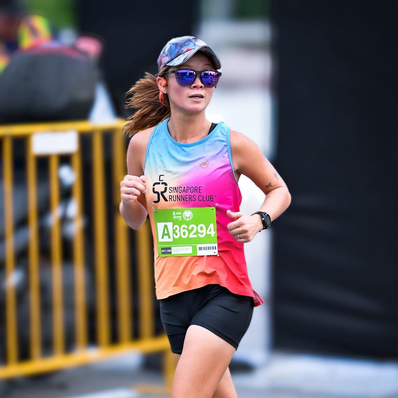 THE MAJESTIC GREYHOUND