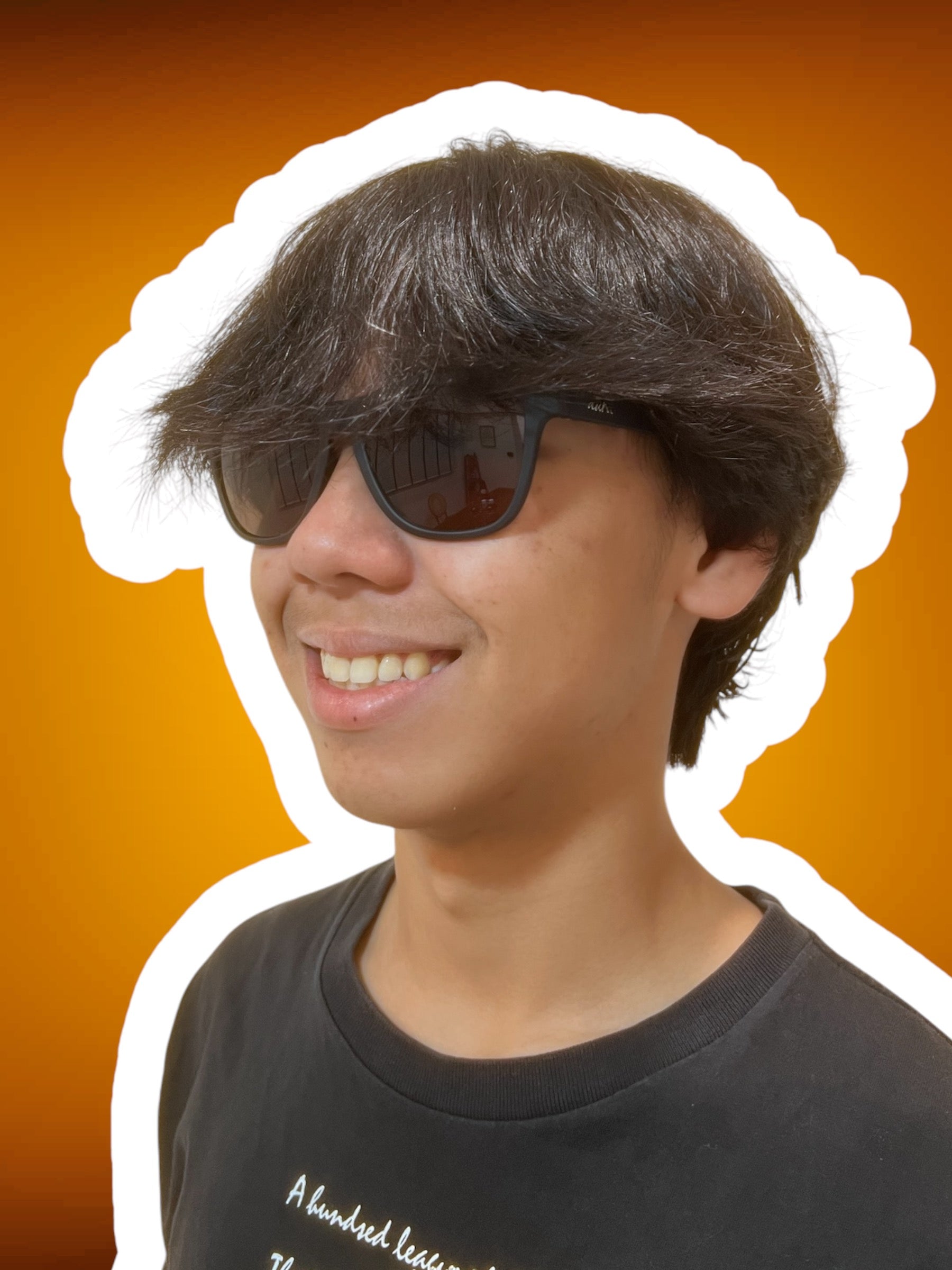 PLAYING IT SAFE - Aura Shades